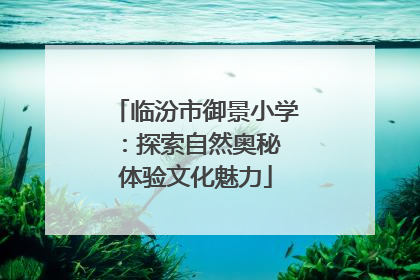 临汾市御景小学：探索自然奥秘 体验文化魅力