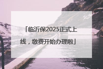 临沂保2025正式上线，缴费开始办理啦