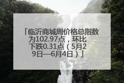 临沂商城周价格总指数为102.97点，环比下跌0.31点（5月29日—6月4日）