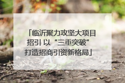 临沂聚力攻坚大项目招引 以“三重突破”打造招商引资新格局