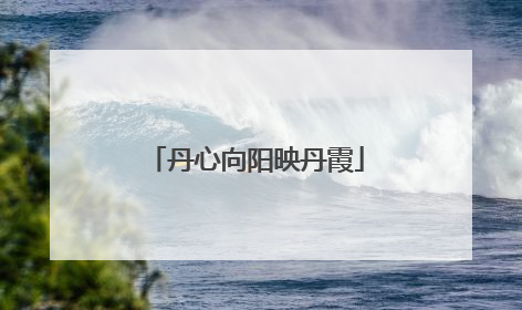 丹心向阳映丹霞