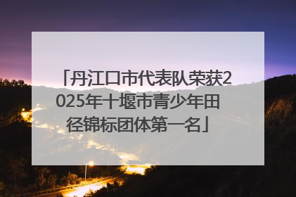 丹江口市代表队荣获2025年十堰市青少年田径锦标团体第一名