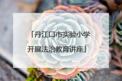 丹江口市实验小学开展法治教育讲座