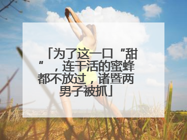 为了这一口“甜”，连干活的蜜蜂都不放过，诸暨两男子被抓