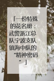 一份特殊的花名册：武警浙江总队宁波支队镇海中队的“精神密码”