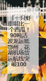 一只虾重堪比一个西瓜！90吨活波龙运抵鄂州，花湖机场货运航线突破100条