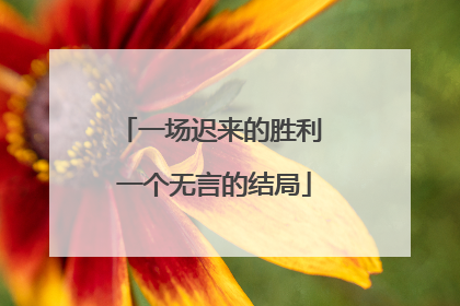 一场迟来的胜利 一个无言的结局