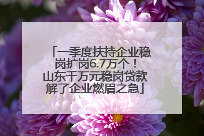 一季度扶持企业稳岗扩岗6.7万个！山东千万元稳岗贷款解了企业燃眉之急