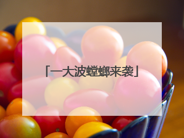 一大波螳螂来袭