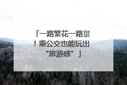 一路繁花一路景！乘公交也能玩出“旅游感”