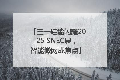 三一硅能闪耀2025 SNEC展，智能微网成焦点