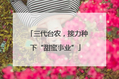 三代台农，接力种下“甜蜜事业”