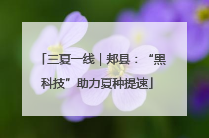 三夏一线｜郏县：“黑科技”助力夏种提速
