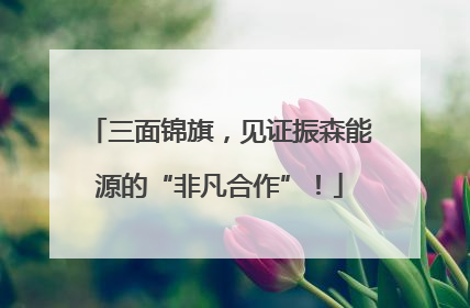 三面锦旗，见证振森能源的“非凡合作”！