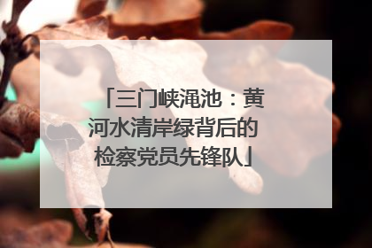 三门峡渑池：黄河水清岸绿背后的检察党员先锋队