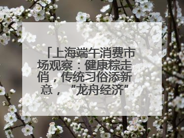 上海端午消费市场观察：健康粽走俏，传统习俗添新意，“龙舟经济”与亲子游共热
