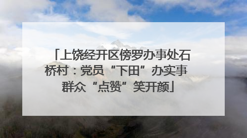 上饶经开区傍罗办事处石桥村：党员“下田”办实事 群众“点赞”笑开颜