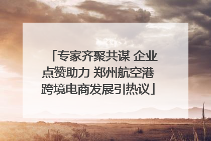 专家齐聚共谋 企业点赞助力 郑州航空港跨境电商发展引热议