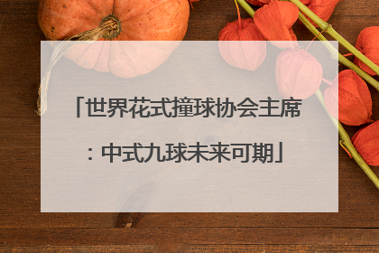 世界花式撞球协会主席：中式九球未来可期