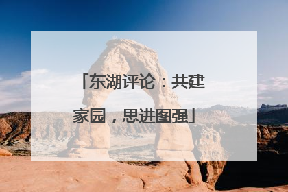 东湖评论：共建家园，思进图强