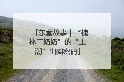 东营故事｜“槐林二奶奶”的“土潮”出圈密码