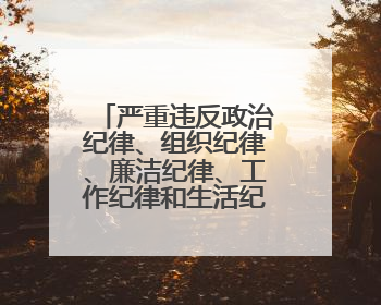 严重违反政治纪律、组织纪律、廉洁纪律、工作纪律和生活纪律的罗璇，非法收受他人巨额财物