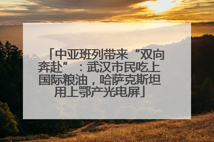 中亚班列带来“双向奔赴”：武汉市民吃上国际粮油，哈萨克斯坦用上鄂产光电屏