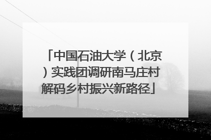 中国石油大学(北京)实践团调研南马庄村解码乡村振兴新路径
