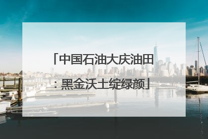 中国石油大庆油田：黑金沃土绽绿颜