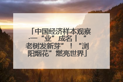 中国经济样本观察·一“业”成名丨“老树发新芽”！“浏阳烟花”燃亮世界