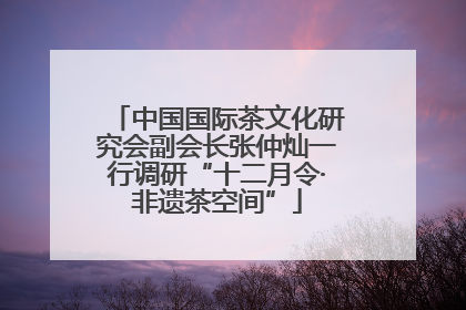 中国国际茶文化研究会副会长张仲灿一行调研“十二月令·非遗茶空间”