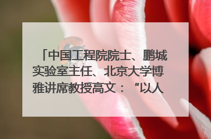 中国工程院院士、鹏城实验室主任、北京大学博雅讲席教授高文：“以人为本 智能向善” 推动文化与科技相生相促｜聚焦2025文化强国建设高峰论坛