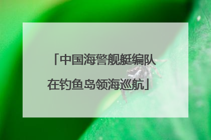 中国海警舰艇编队在钓鱼岛领海巡航