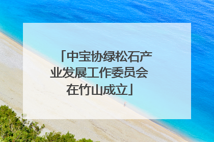 中宝协绿松石产业发展工作委员会在竹山成立