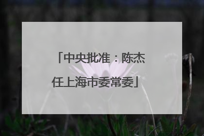 中央批准：陈杰任上海市委常委