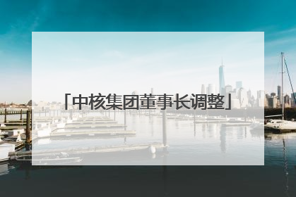 中核集团董事长调整