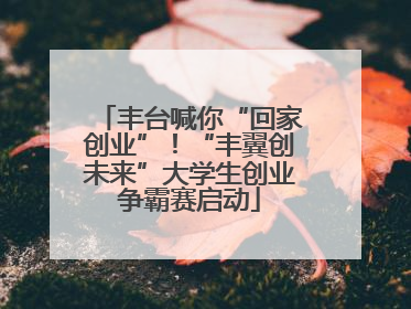 丰台喊你“回家创业”！“丰翼创未来”大学生创业争霸赛启动