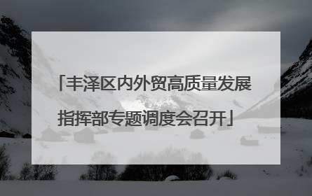 丰泽区内外贸高质量发展指挥部专题调度会召开