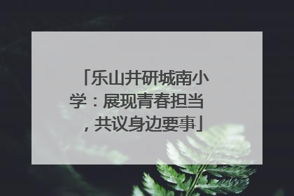 乐山井研城南小学：展现青春担当，共议身边要事