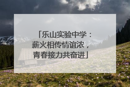 乐山实验中学：薪火相传情谊浓，青春接力共奋进