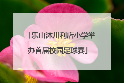 乐山沐川利店小学举办首届校园足球赛