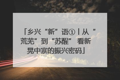 乡兴“新”语①丨从“荒芜”到“苏醒” 看新晃中寨的振兴密码