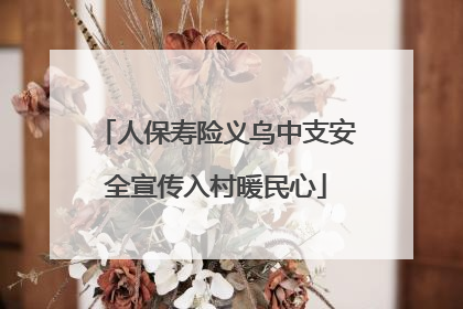 人保寿险义乌中支安全宣传入村暖民心