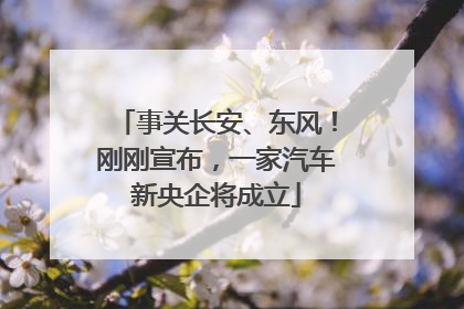 事关长安、东风！刚刚宣布，一家汽车新央企将成立
