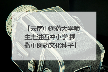 云南中医药大学师生走进西冲小学 播撒中医药文化种子