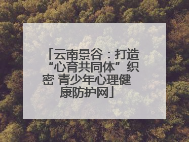 云南景谷：打造“心育共同体”织密 青少年心理健康防护网