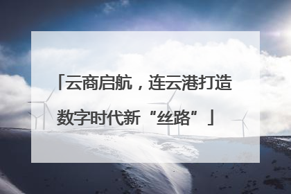 云商启航，连云港打造数字时代新“丝路”