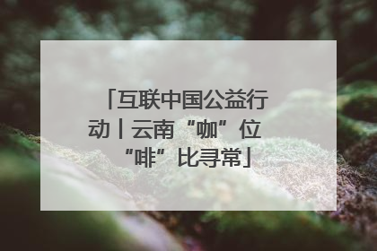 互联中国公益行动丨云南“咖”位“啡”比寻常