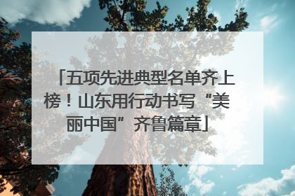 五项先进典型名单齐上榜！山东用行动书写“美丽中国”齐鲁篇章