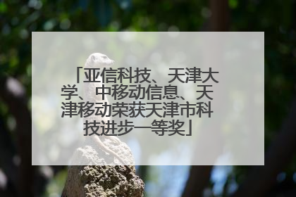 亚信科技、天津大学、中移动信息、天津移动荣获天津市科技进步一等奖